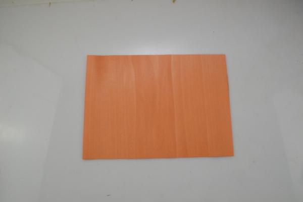 103 tulipier teinte orange a4 1