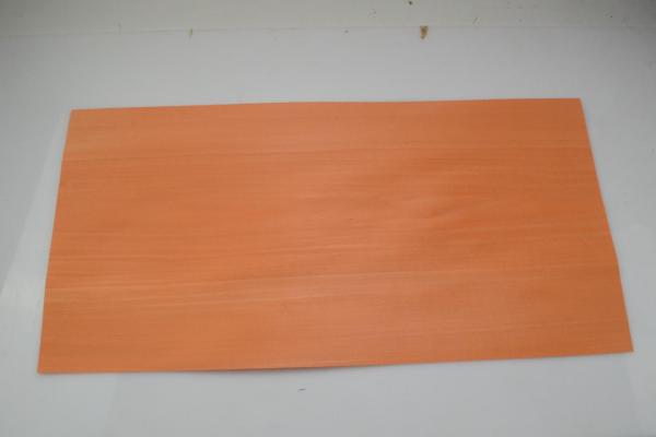 103a tulipier teinte orange 1