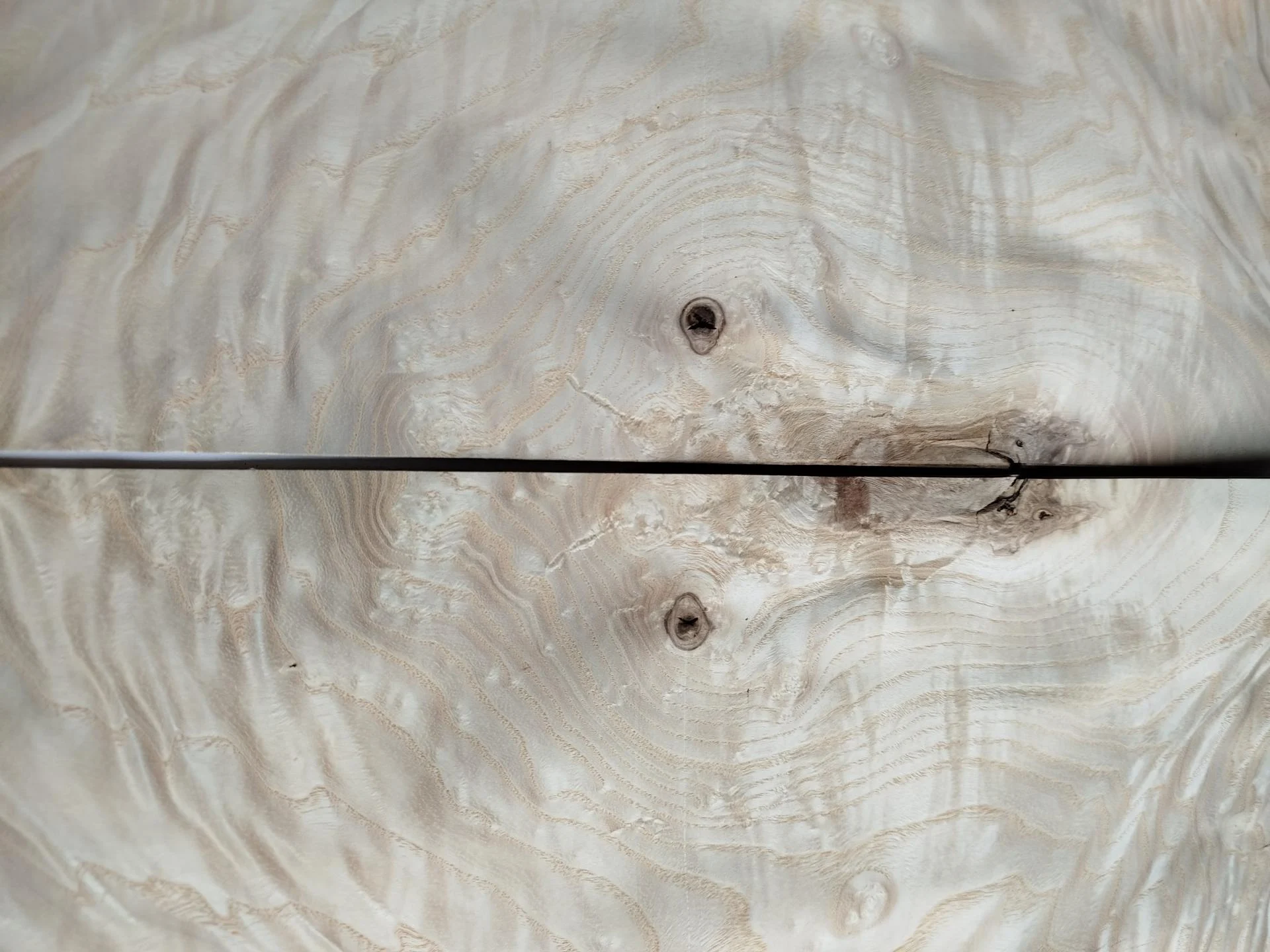 109 frene ramageux placage bois 2