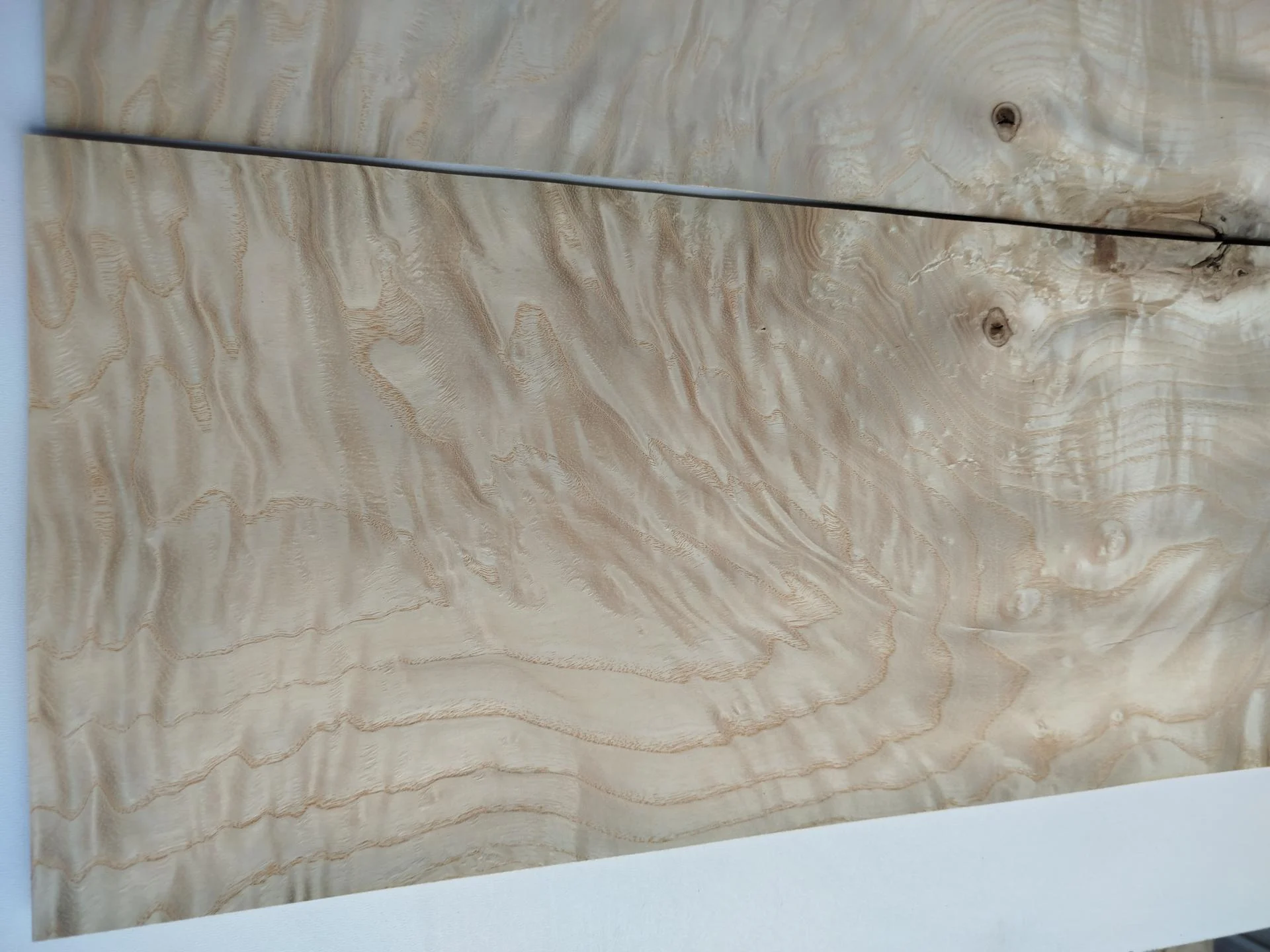 109 frene ramageux placage bois 3