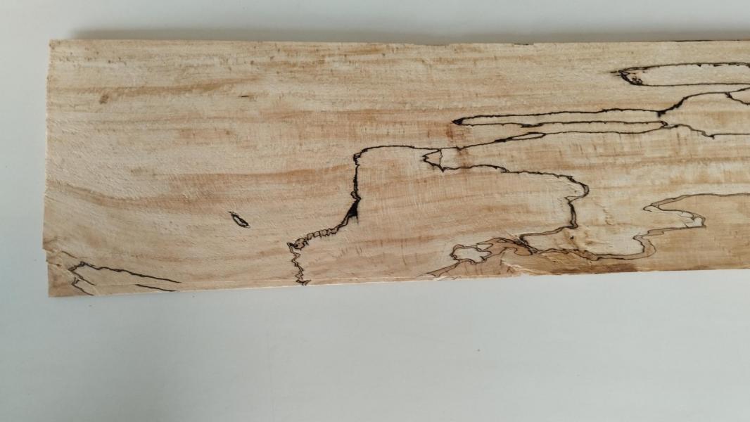 151 hetre truffe feuille de bois marqueterie 2