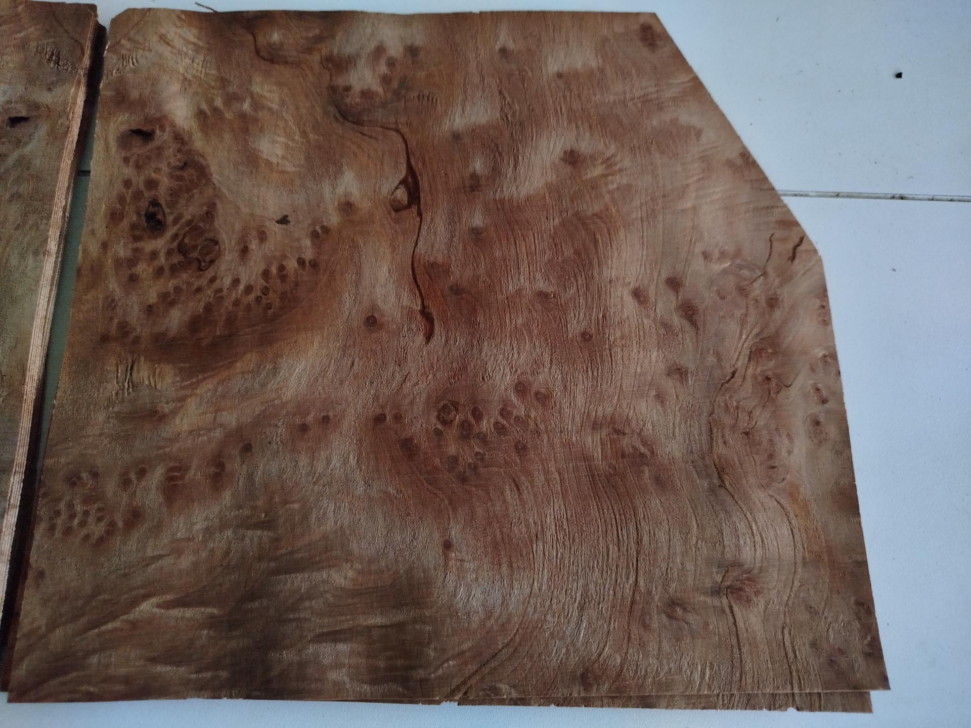 160 placage loupe de sequoia 3