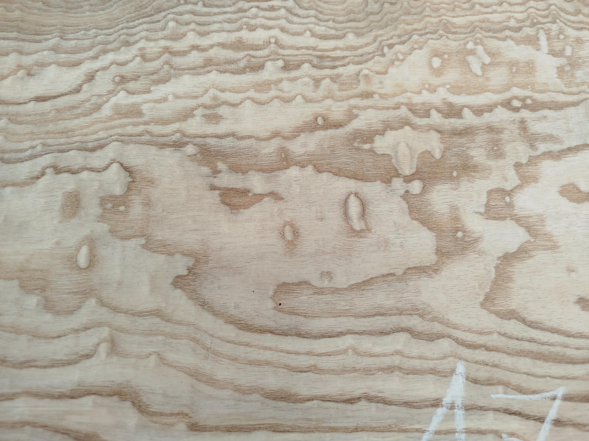 170 frene du japon placage bois marqueterie 3