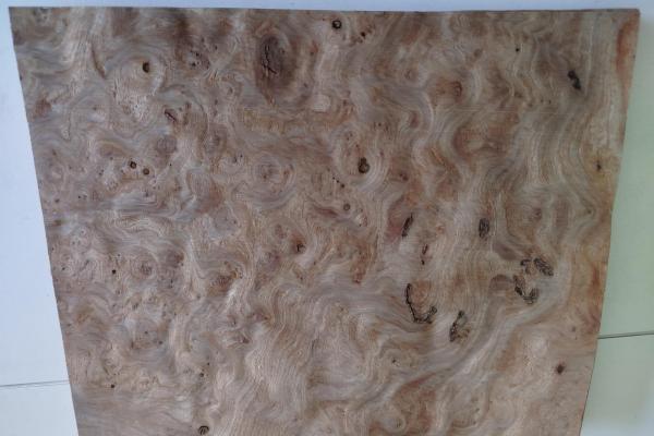 175 placage loupe d orme feuille de bois marqueterie 2 