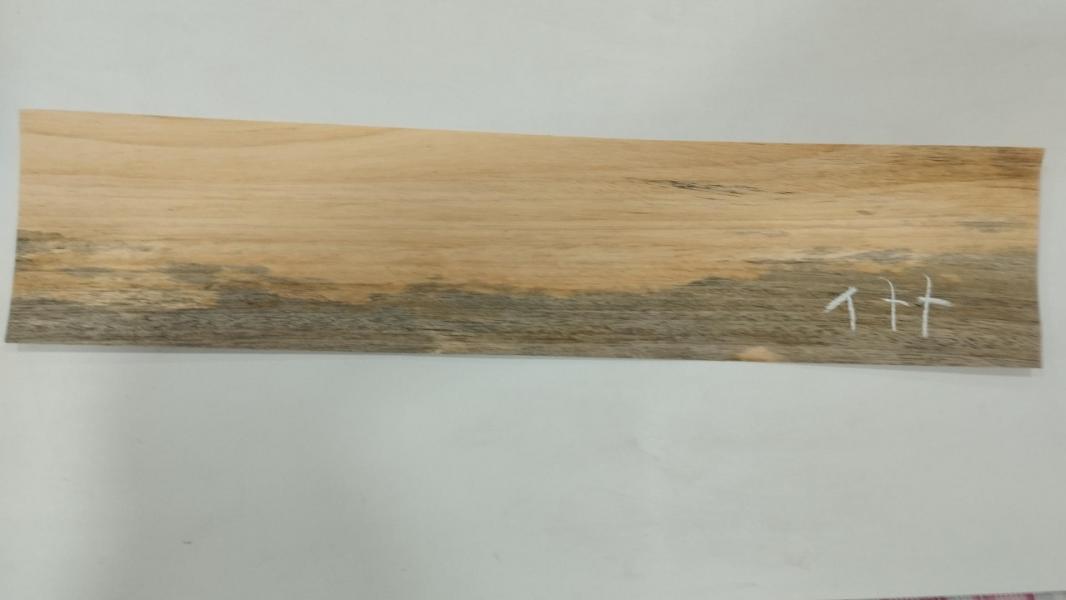 177 placage bois feuille marqueterie koto 1