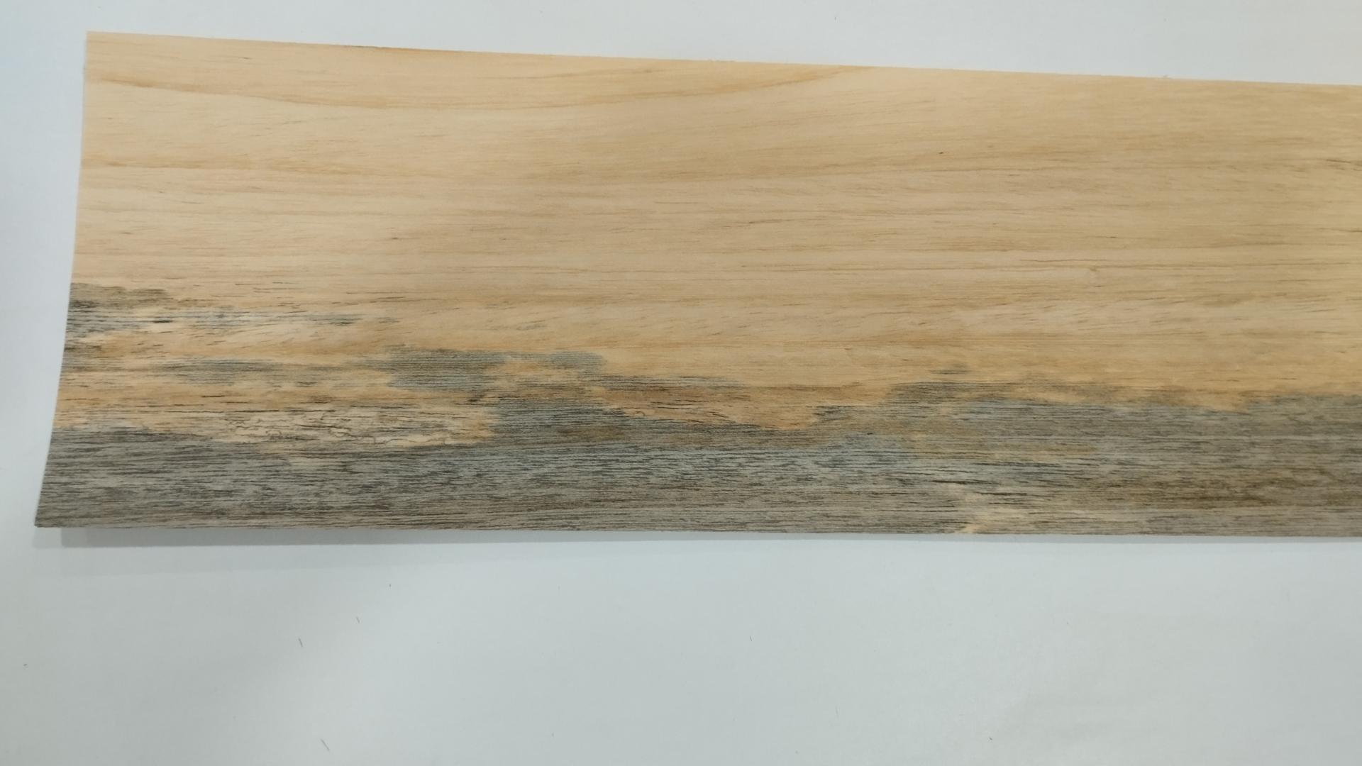 177 placage bois feuille marqueterie koto 2
