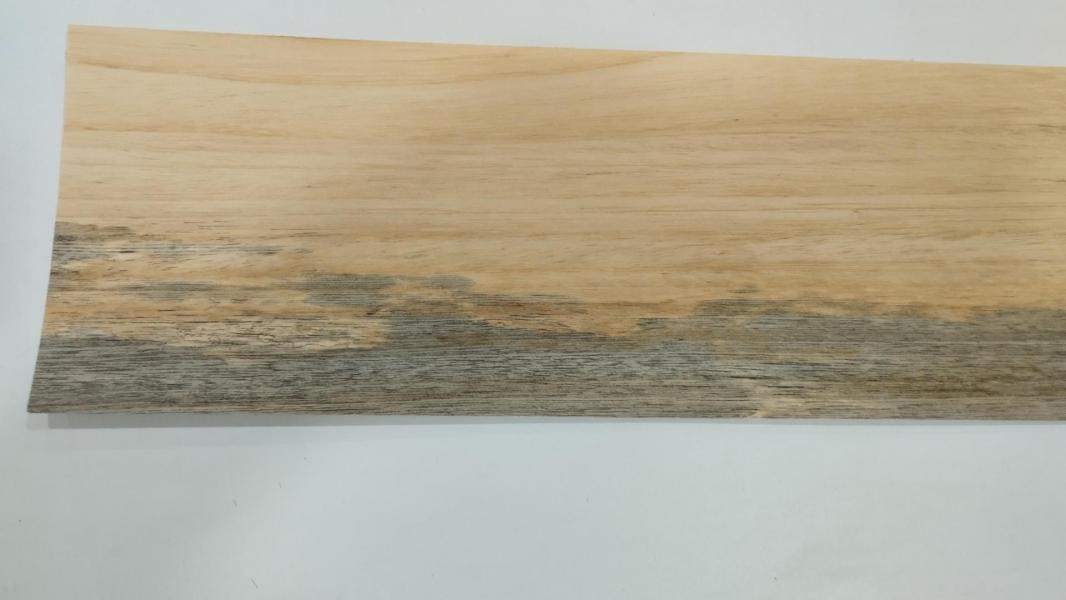 177 placage bois feuille marqueterie koto 2