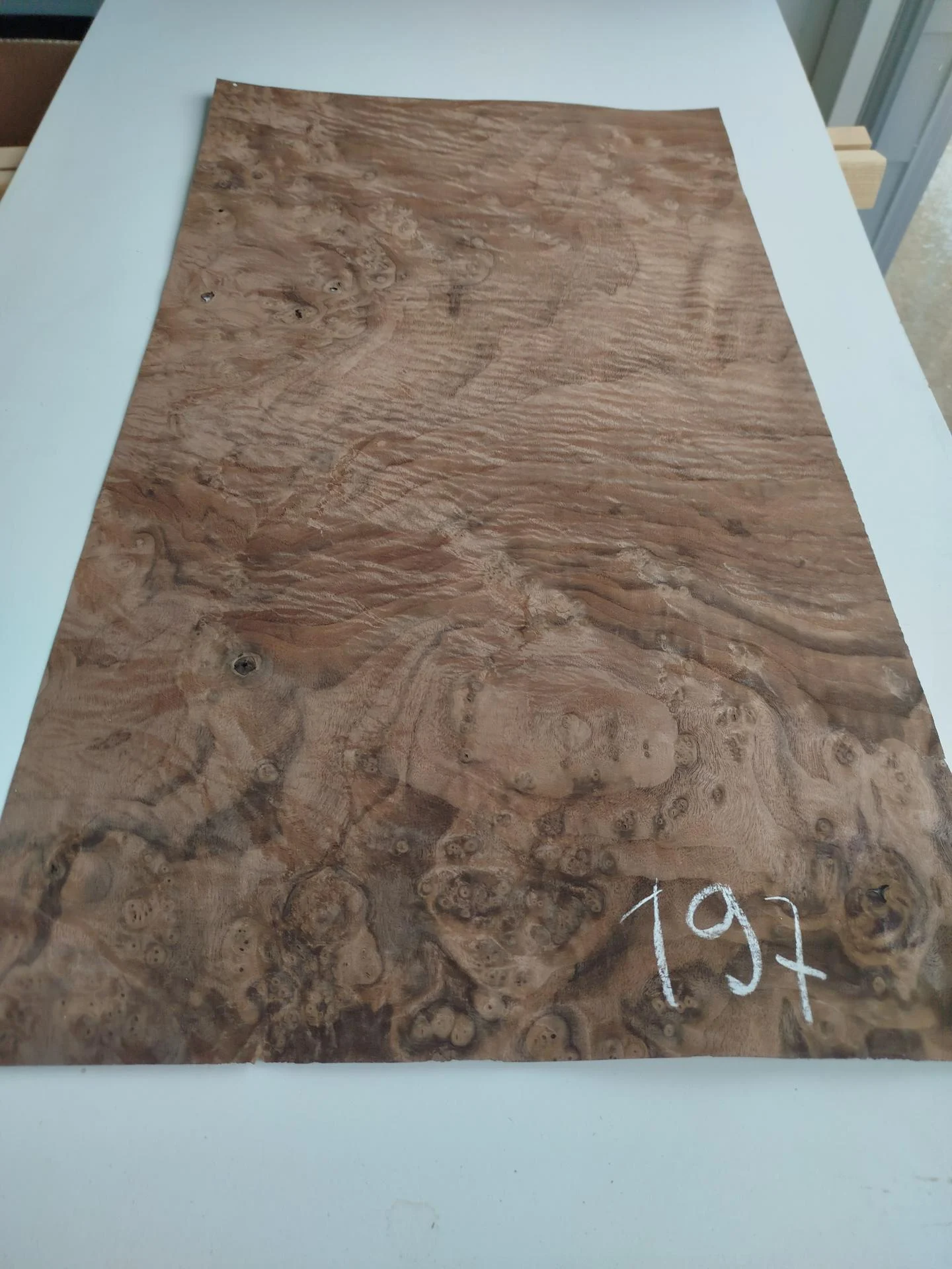 197 placage marqueterie loupe de noyer des usa 2 1