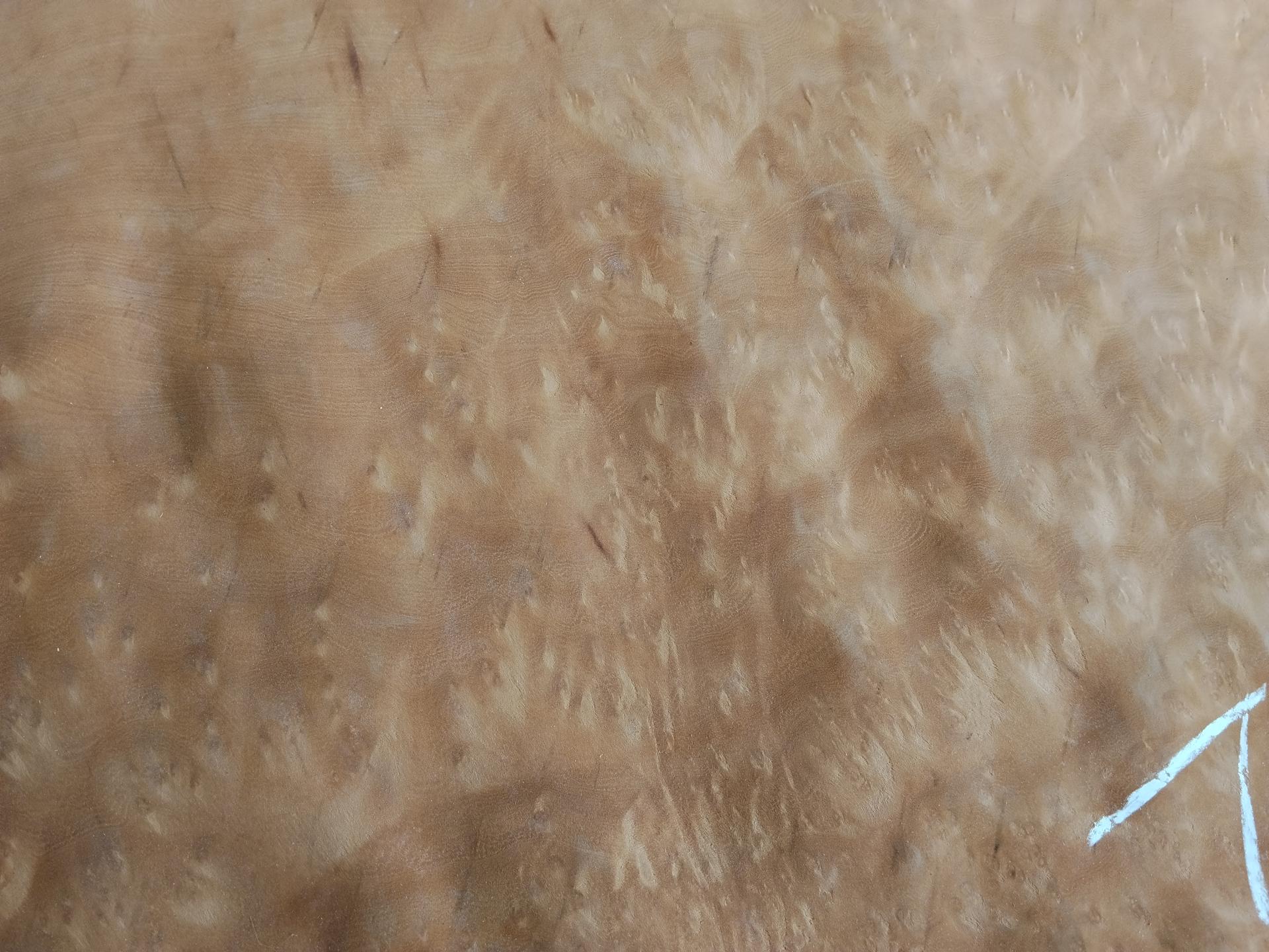 198 loupe de madrona 2