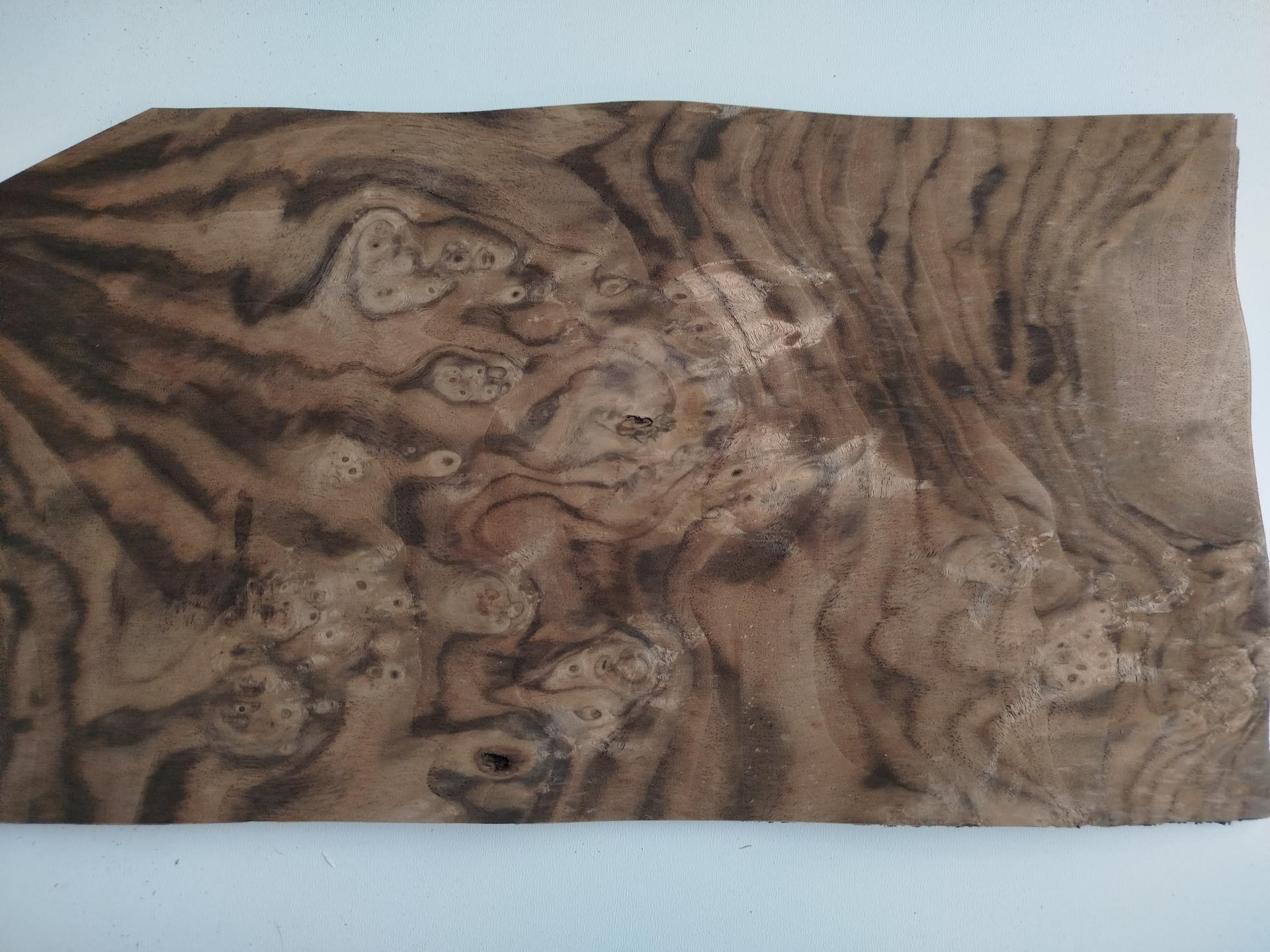 214 placage marqueterie loupe de noyer des usa 4