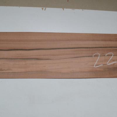 222 placage feuille de bois tineo marqueterie 1 