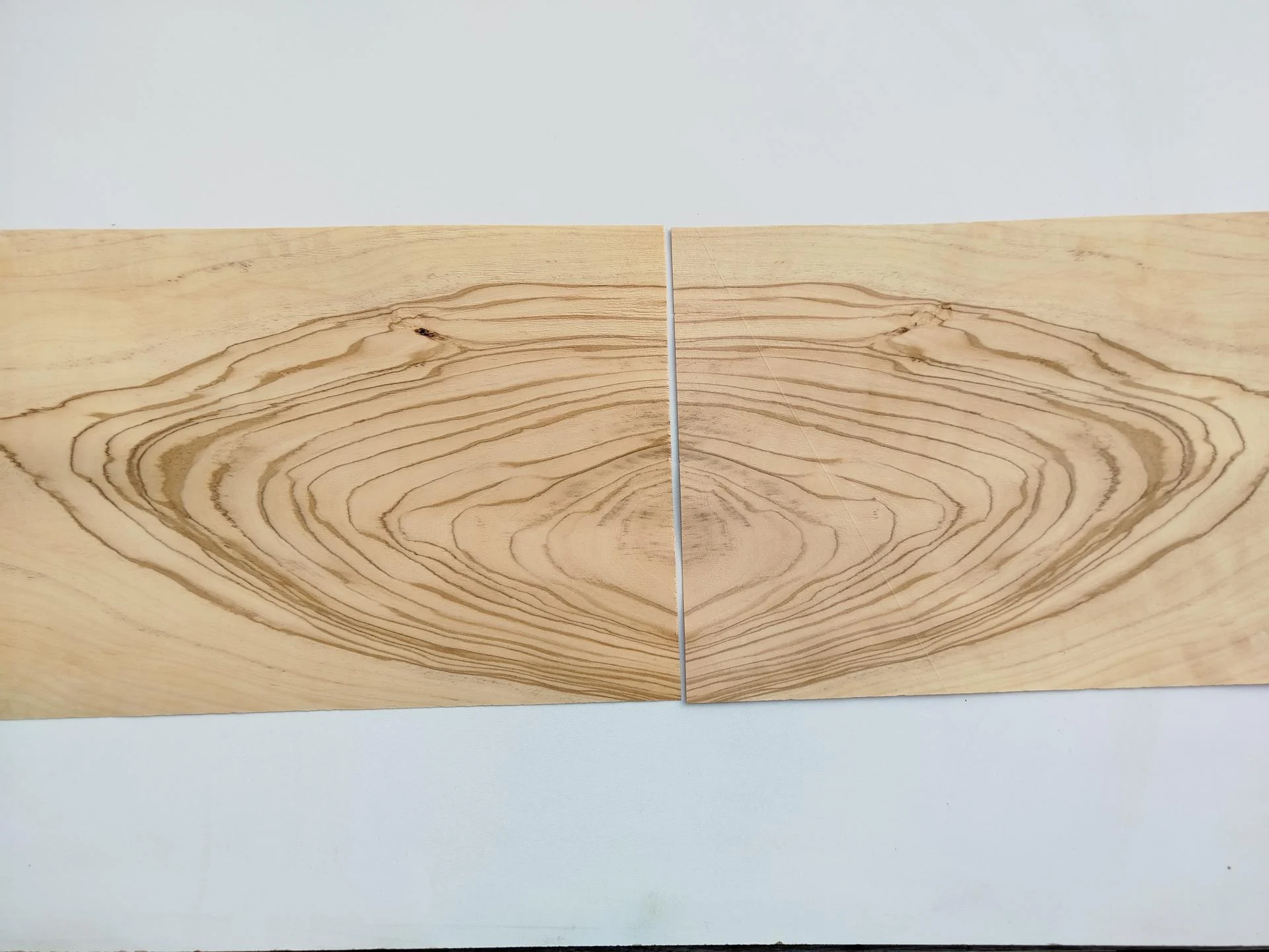 225 placage feuille de bois olivier marqueterie et ebenisterie 2 1