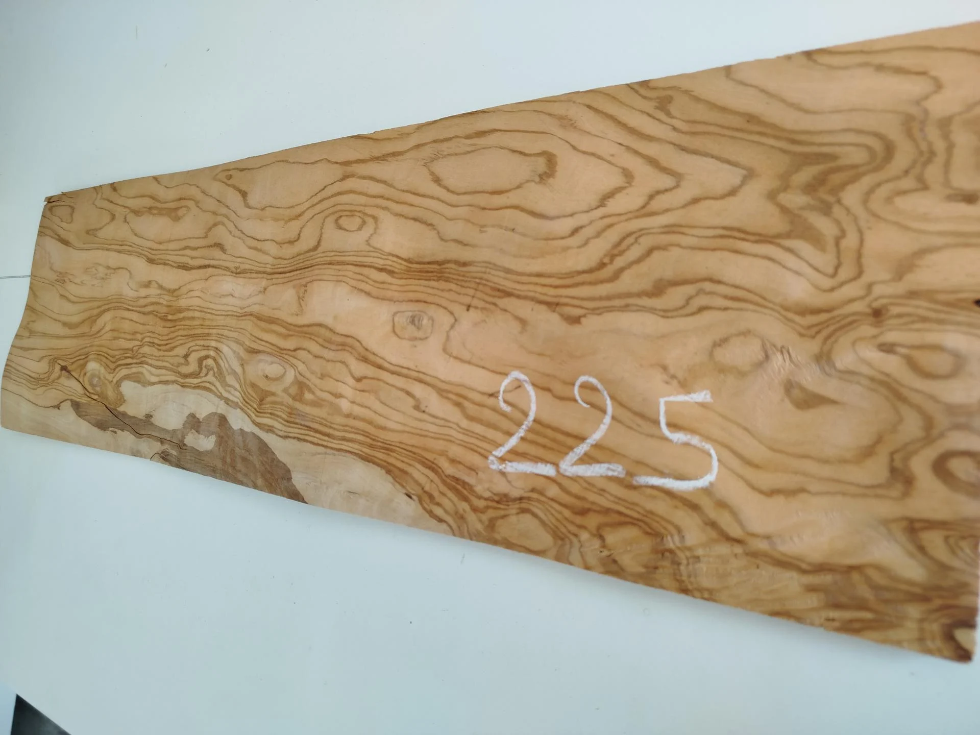 225 placage feuille de bois olivier marqueterie et ebenisterie 3