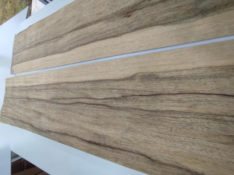 228 frake feuille de bois placage marqueterie 4