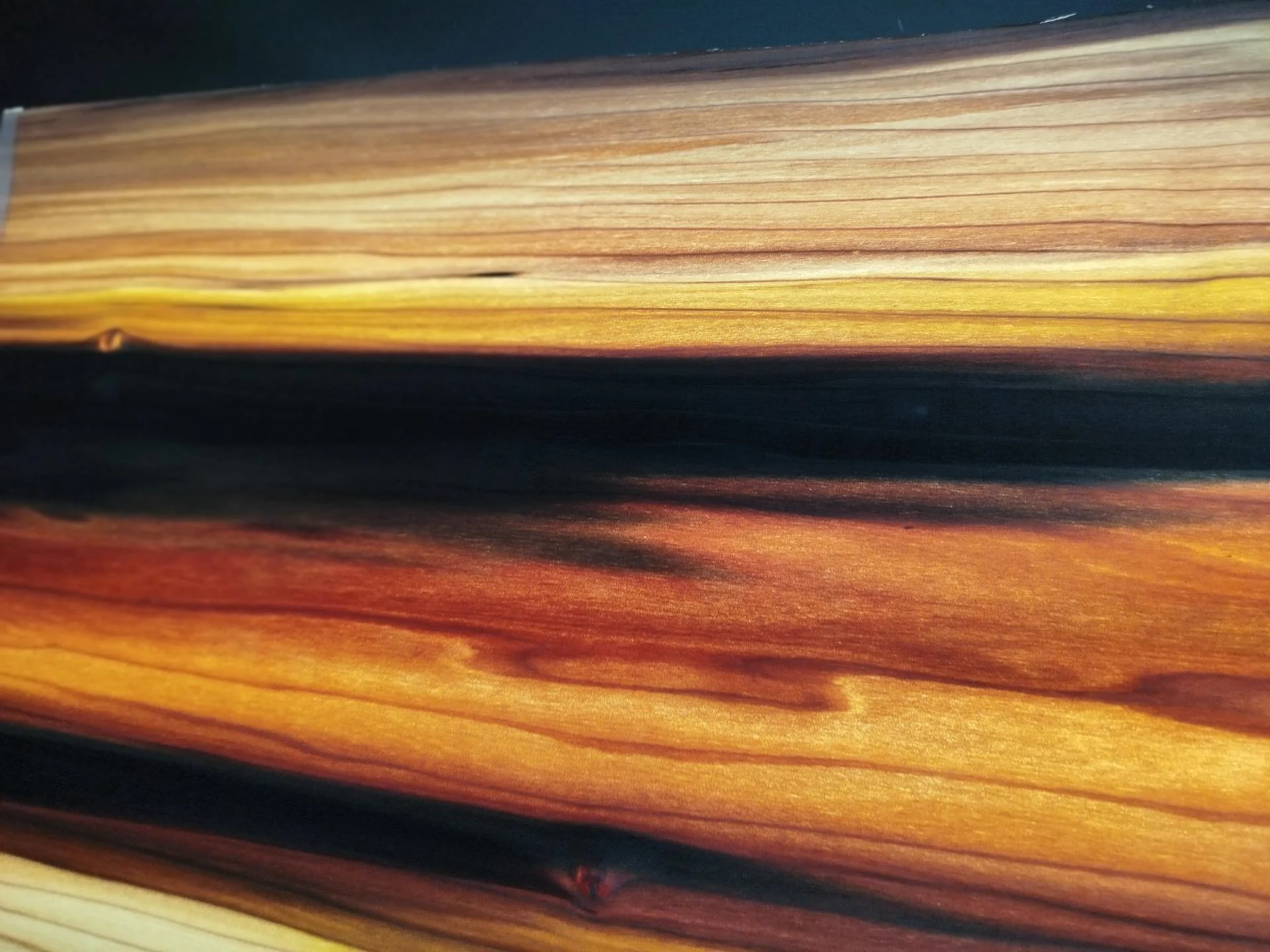 237 tulipier placage bois de virginie 6