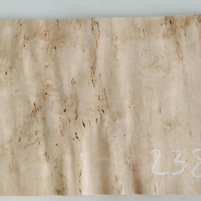 238 bouleau madre placage feuille de bois marqueterie 1