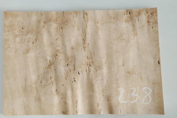 238 bouleau madre placage feuille de bois marqueterie 1 