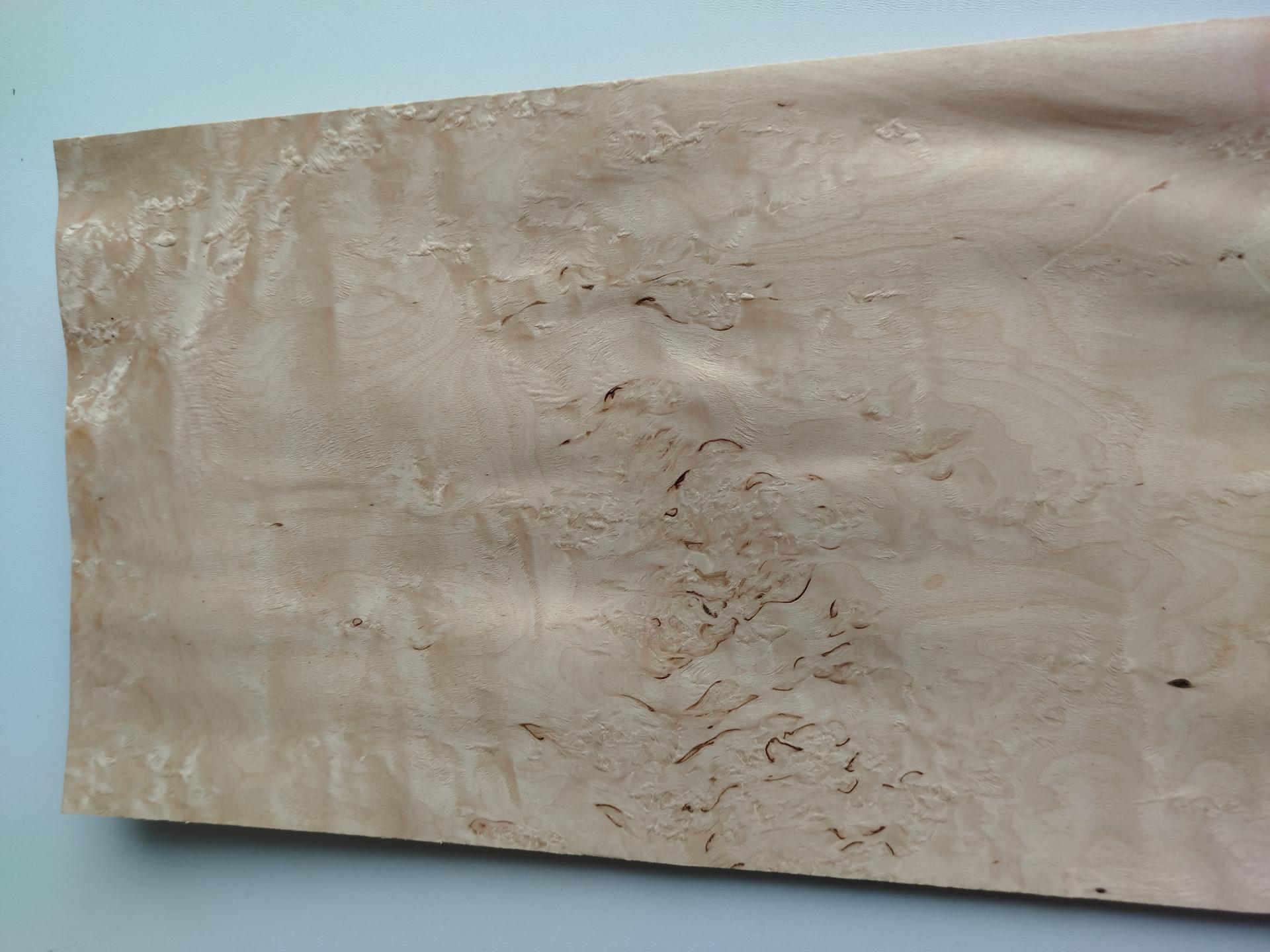 238 bouleau madre placage feuille de bois marqueterie 2