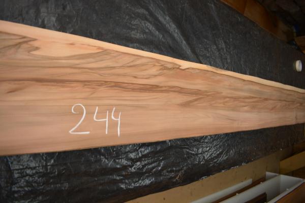 244 satine red gum placage bois feuille marqueterie 1