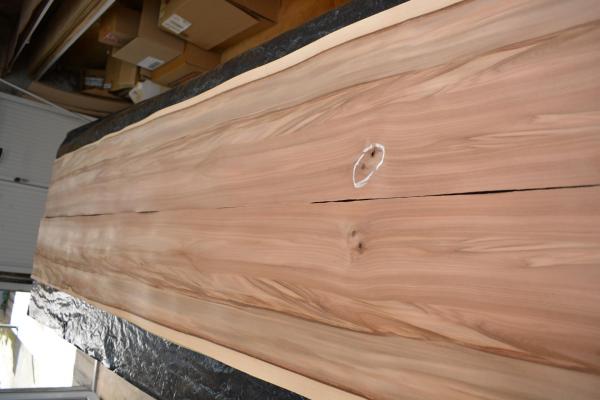 244 satine red gum placage bois feuille marqueterie 2