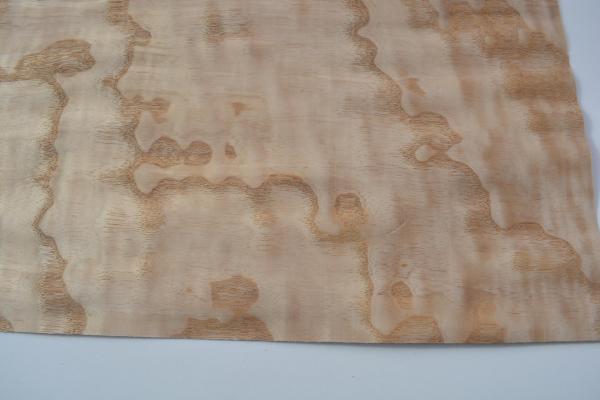 260 frene du japon tamo placage feuille de bois marqueterie 2 1