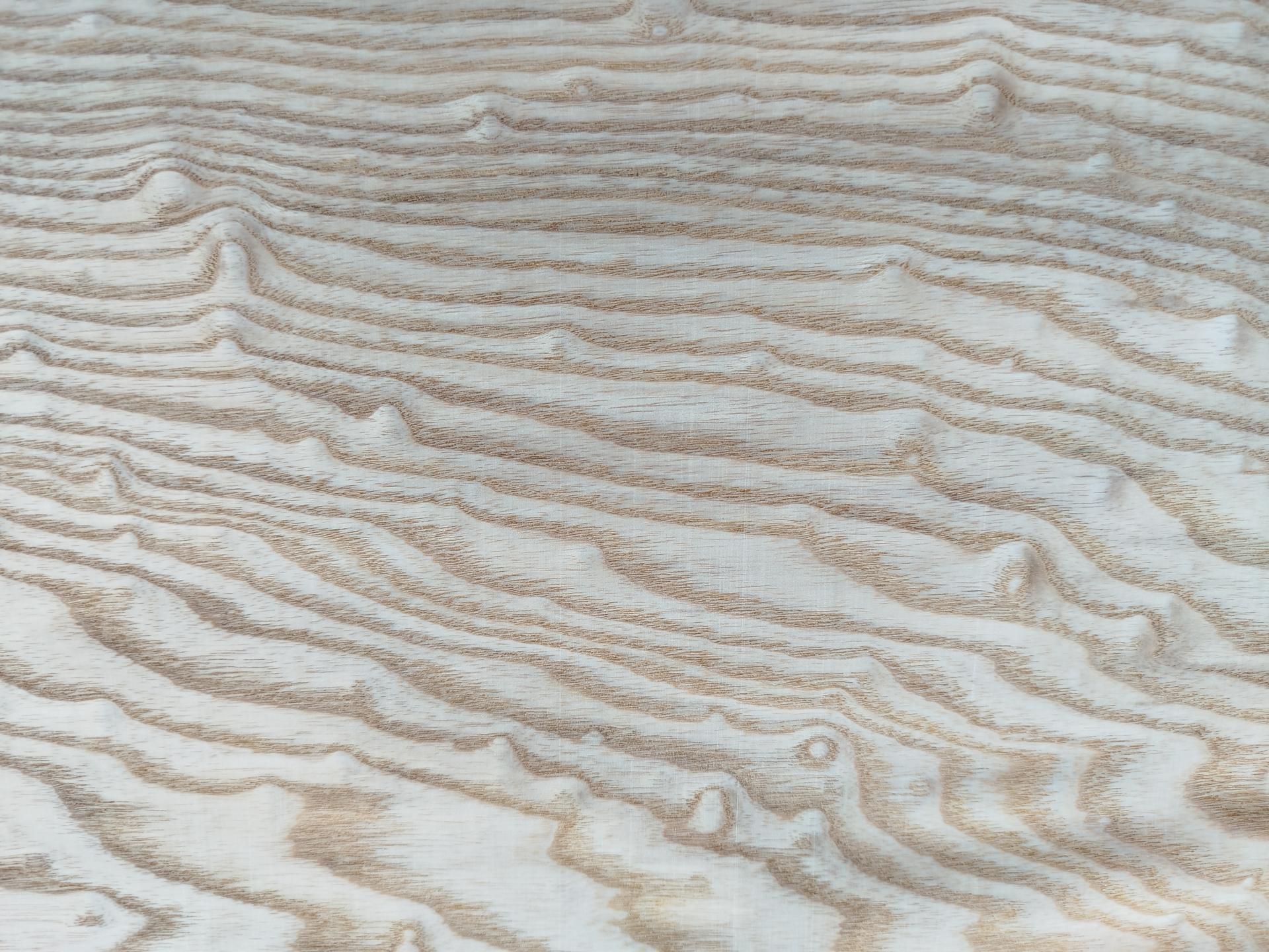 260 frene du japon tamo placage feuille de bois marqueterie 5
