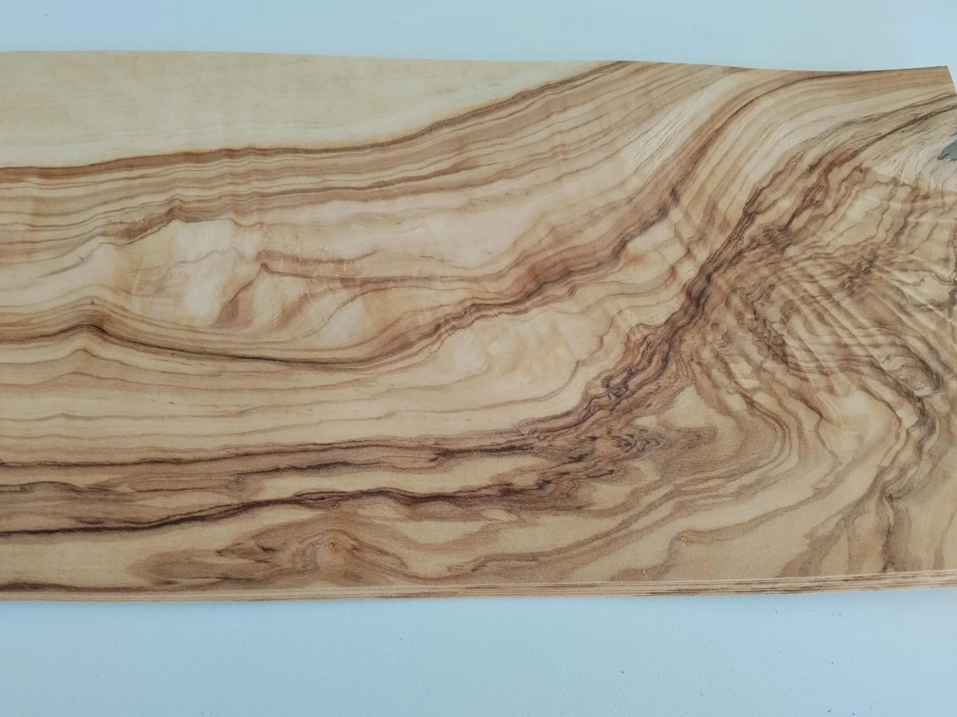 334 olivier placage bois marqueterie 2