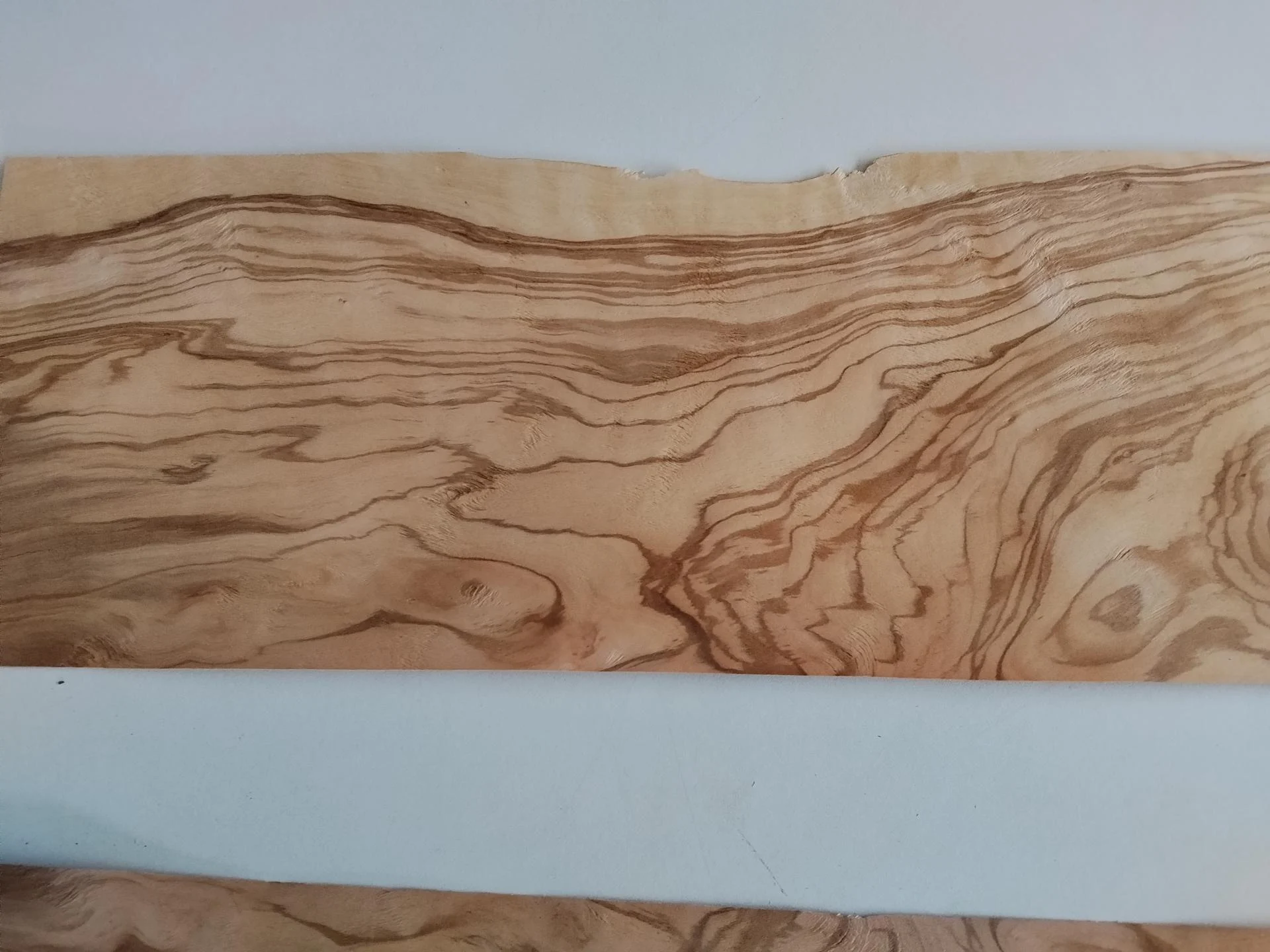 334 olivier placage bois marqueterie 4