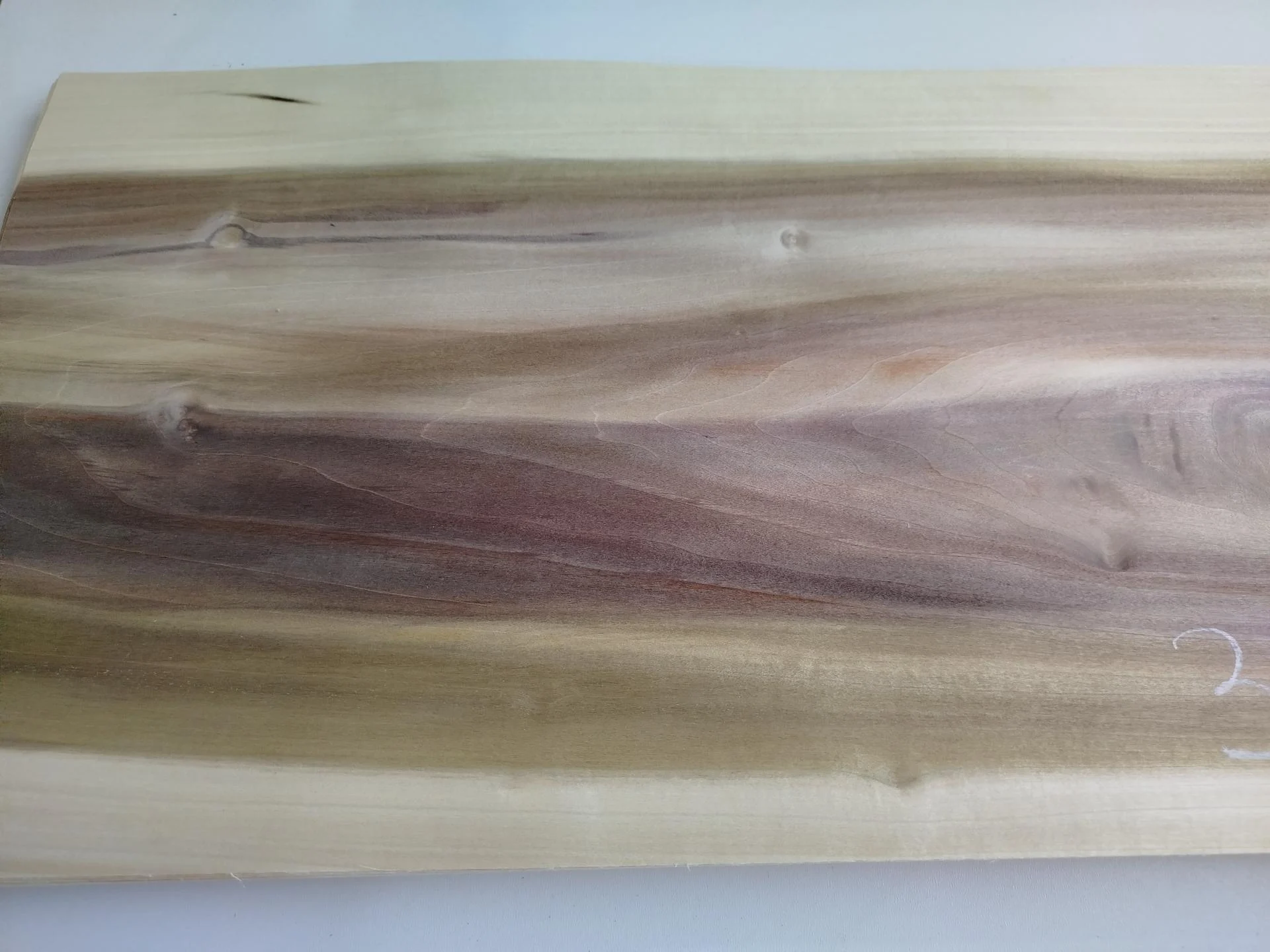 334 placage tulipier feuille de bois marqueterie 3