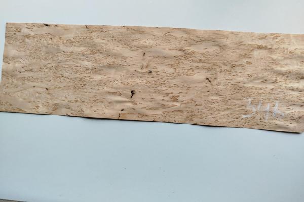 346 bouleau madre placage feuille de bois marqueterie 1 