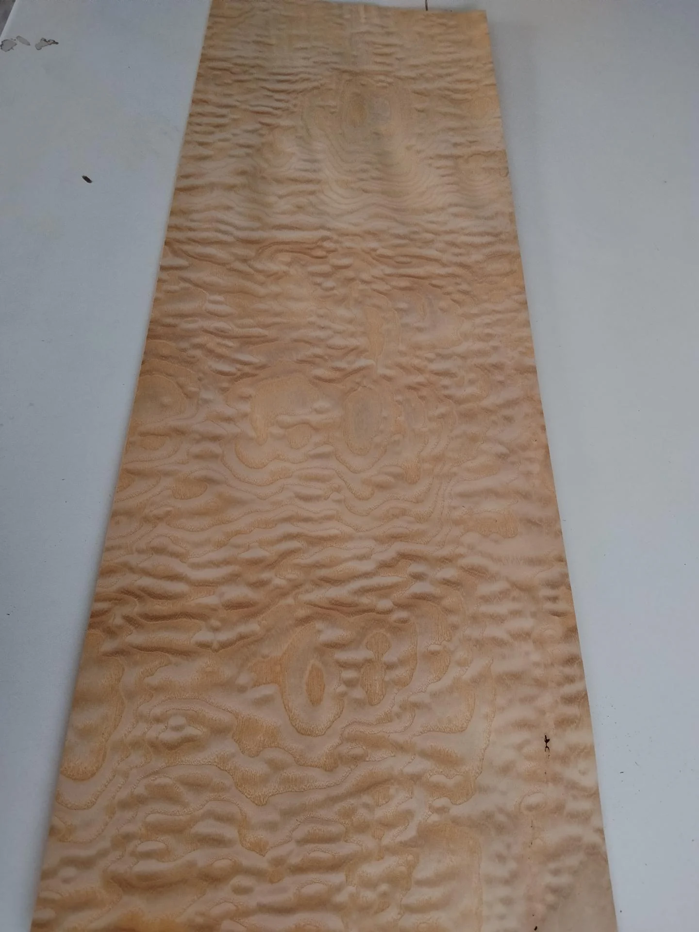 354 placage frene ramageux feuille de bois marqueterie 2
