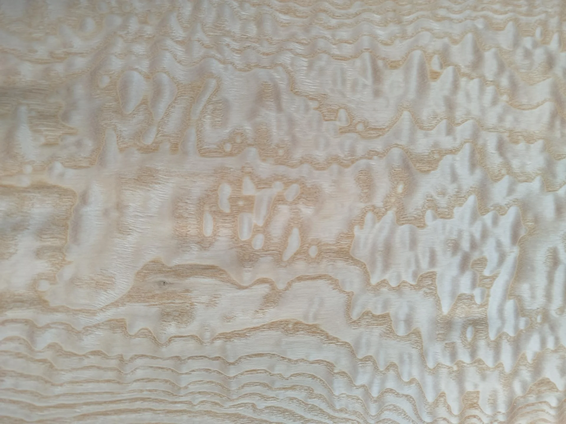 354 placage frene ramageux feuille de bois marqueterie 4