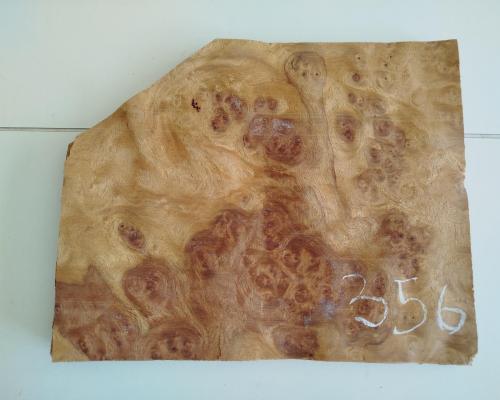356 placage loupe d amboine 1 