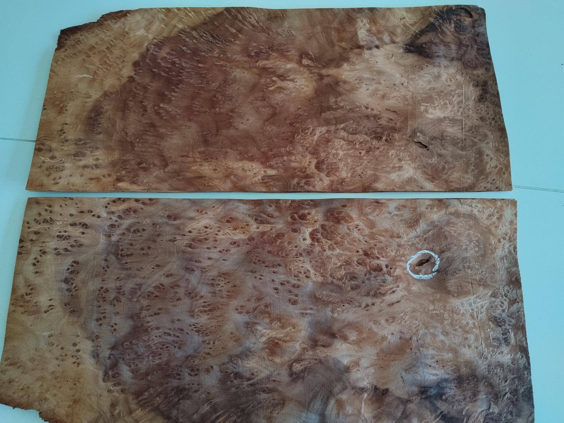 361 loupe de sequoia placage marqueterie 5