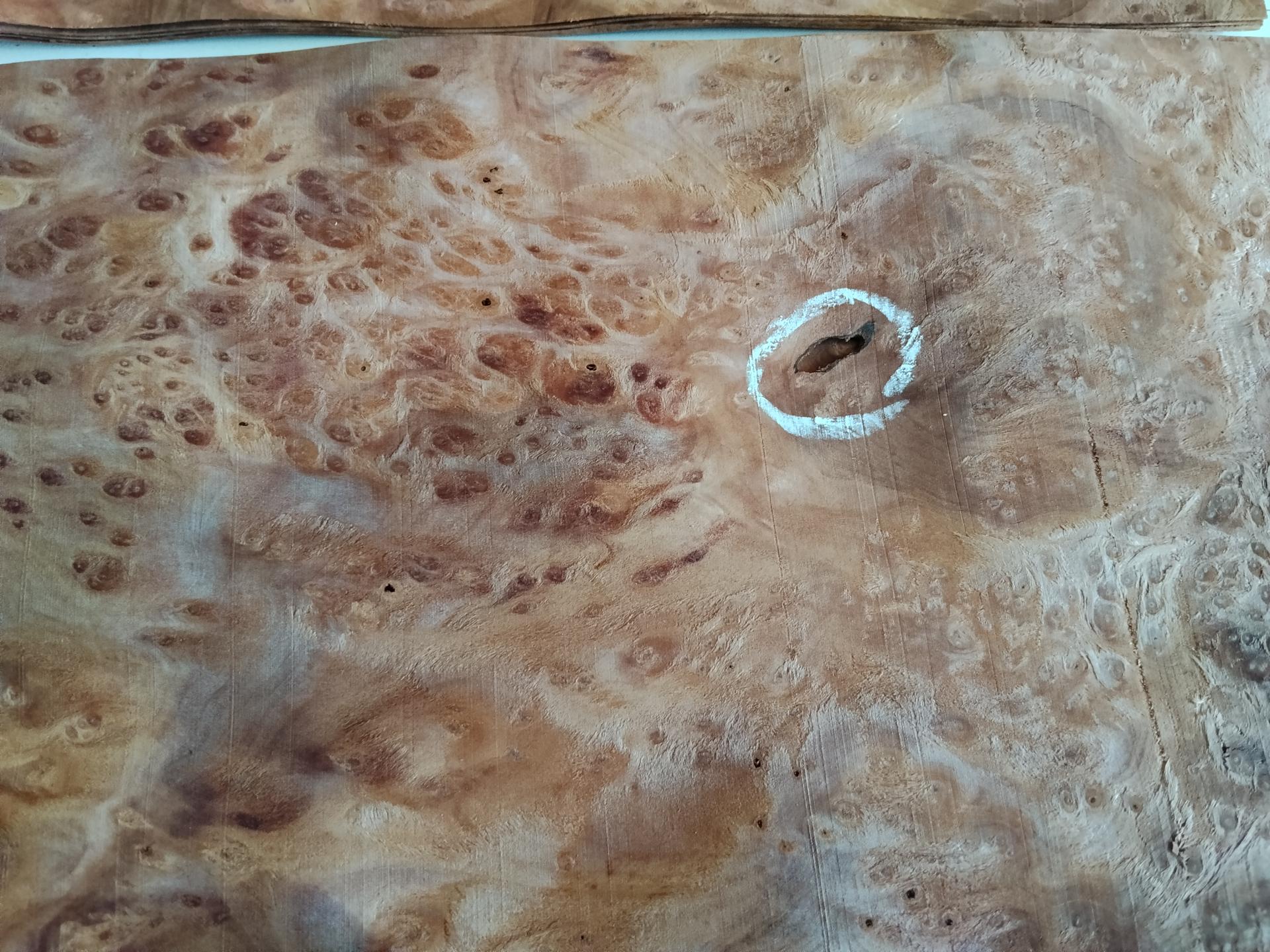 361 loupe de sequoia placage marqueterie 6