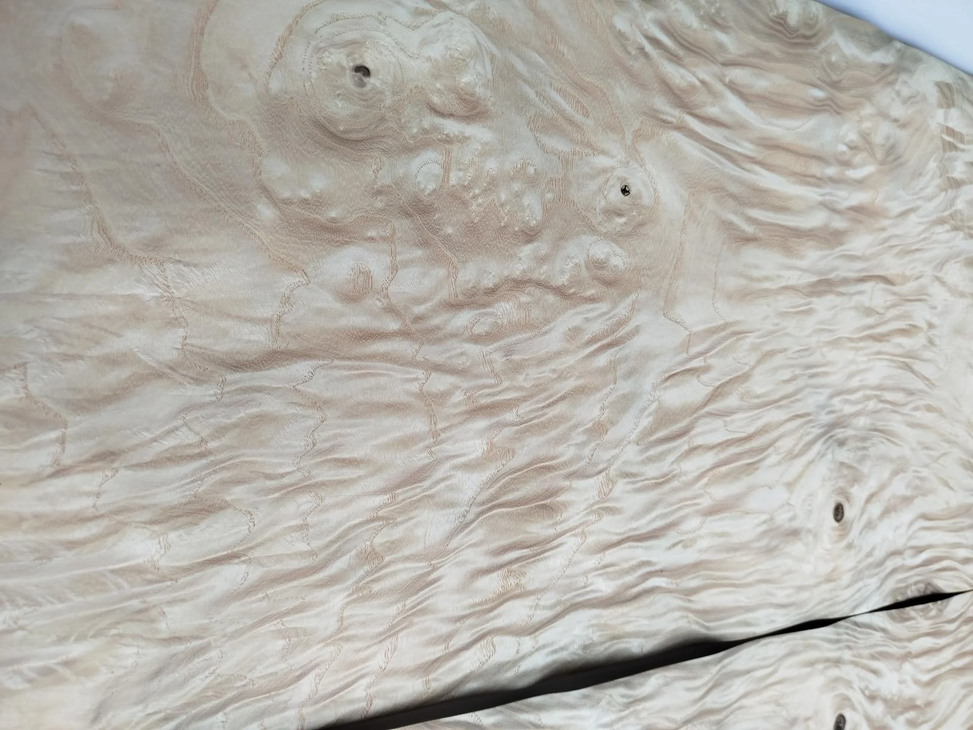 368 frene placage feuille de bois marqueterie 4