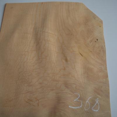 368 loupe de frene plcage feuille de bois marqueterie 1