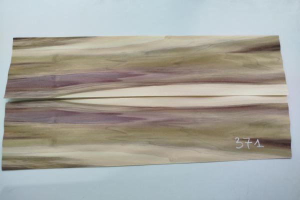 371 tulipier placage feuille de bois 3