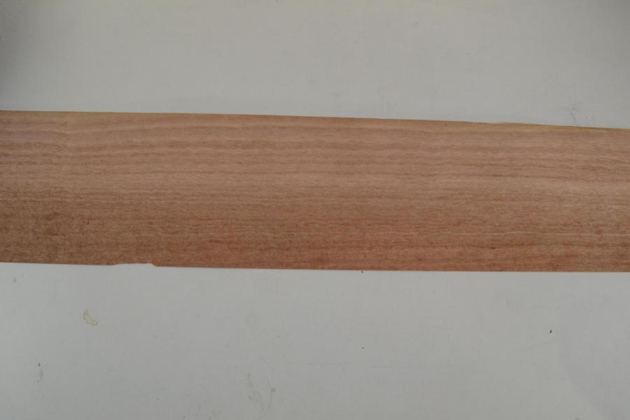 381 placage feuille de bois loupe d eucalyptus 1 1