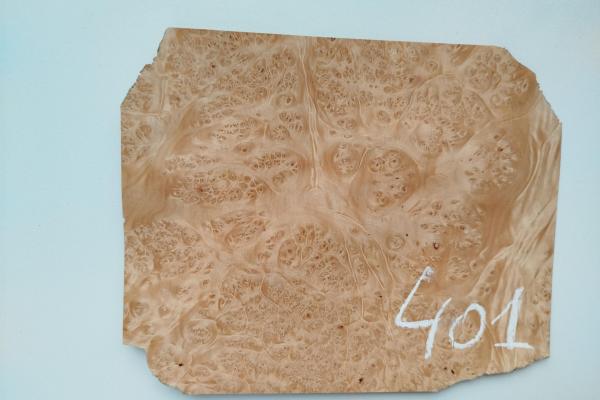 401 placage marqueterie loupe d erable 1 