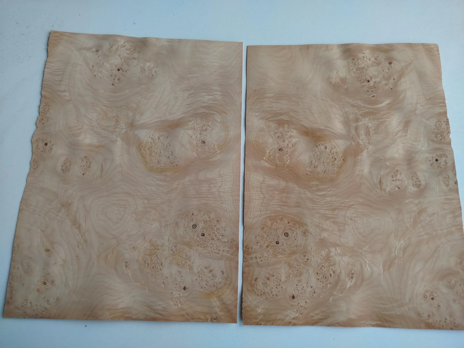 401 placage marqueterie loupe d erable 2