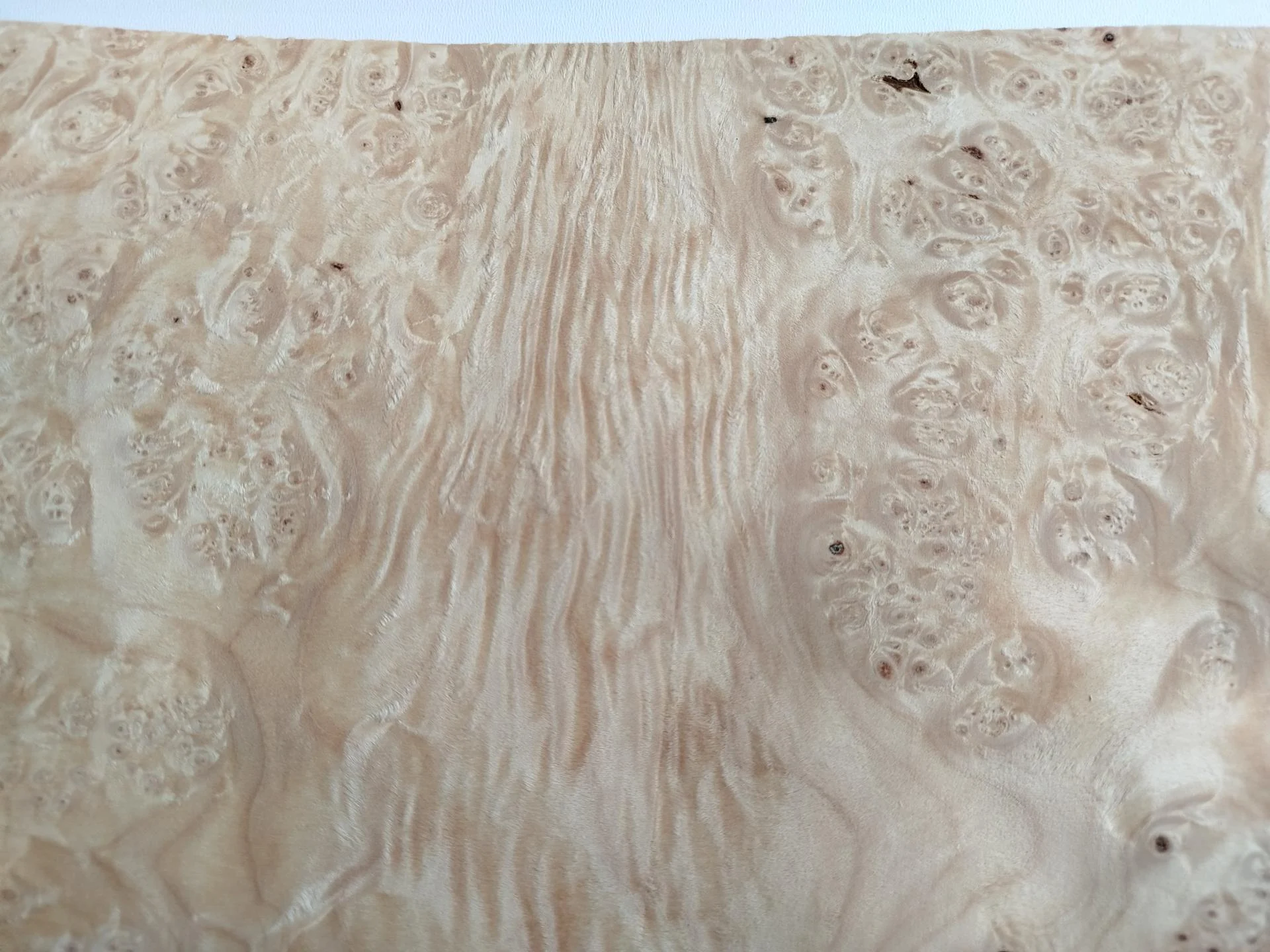 401 placage marqueterie loupe d erable 3 1