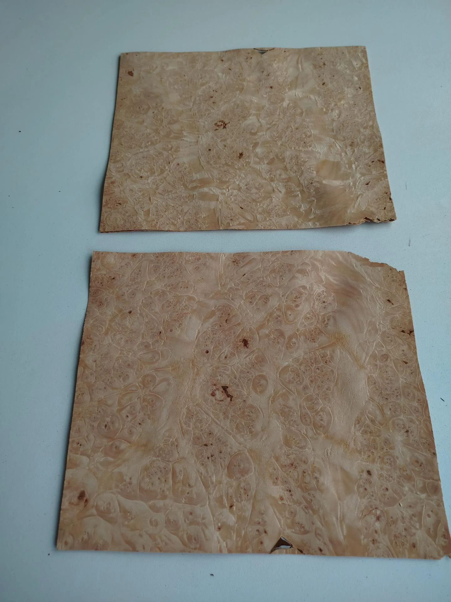 401 placage marqueterie loupe d erable 5