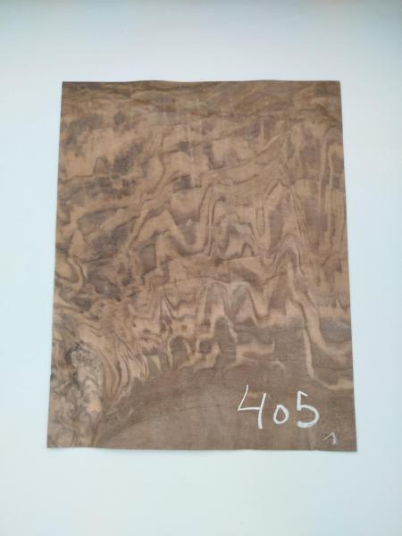 405 placage olivier feuille de bois marqueterie lurem kity 1