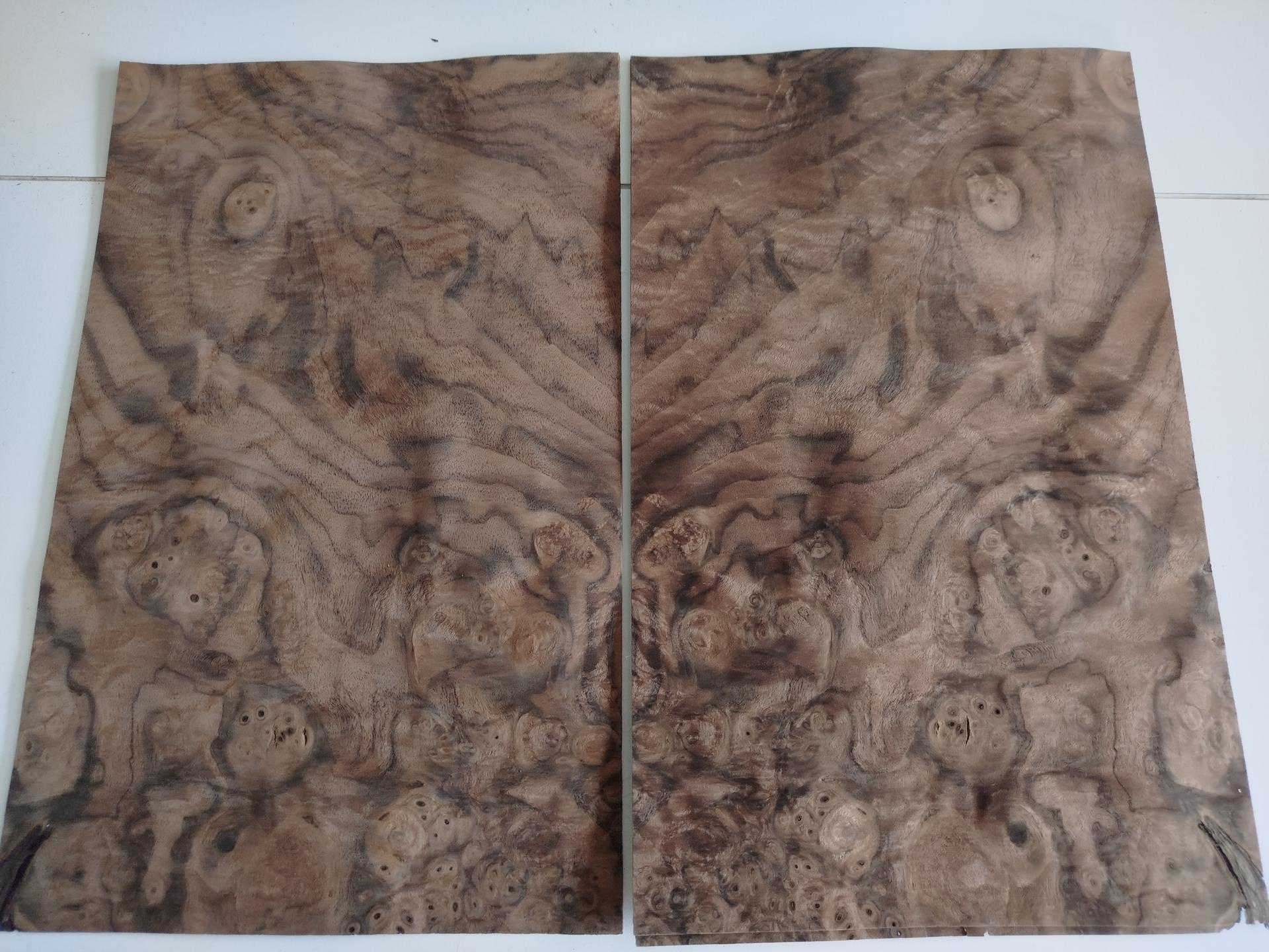 405 placage olivier feuille de bois marqueterie lurem kity 2