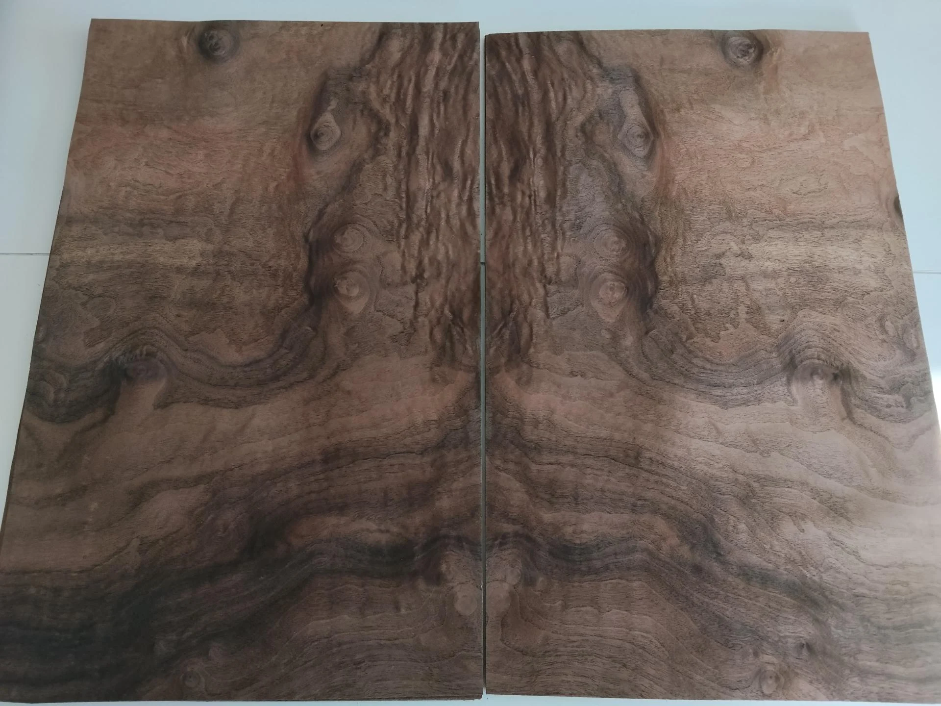 410 noyer ramageux marquetrie feuille de bois placage 2