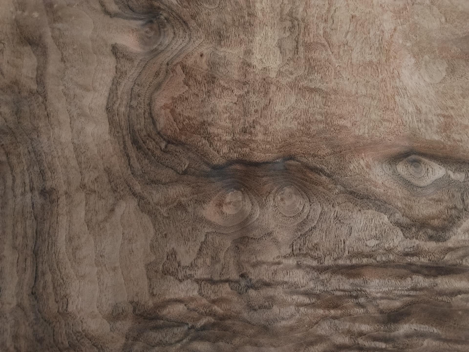 410 noyer ramageux marquetrie feuille de bois placage 3