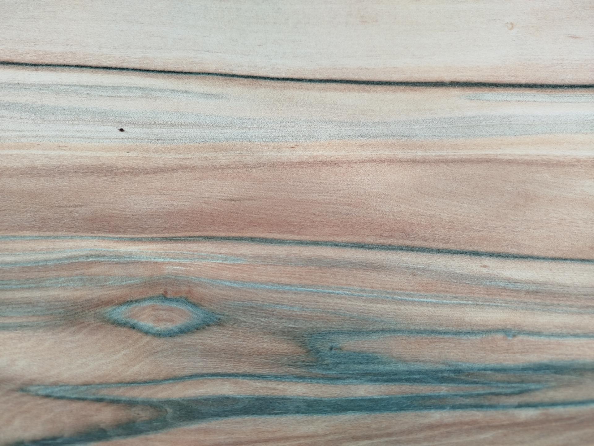 415 placage tineo feuille de bois marqueterie 4