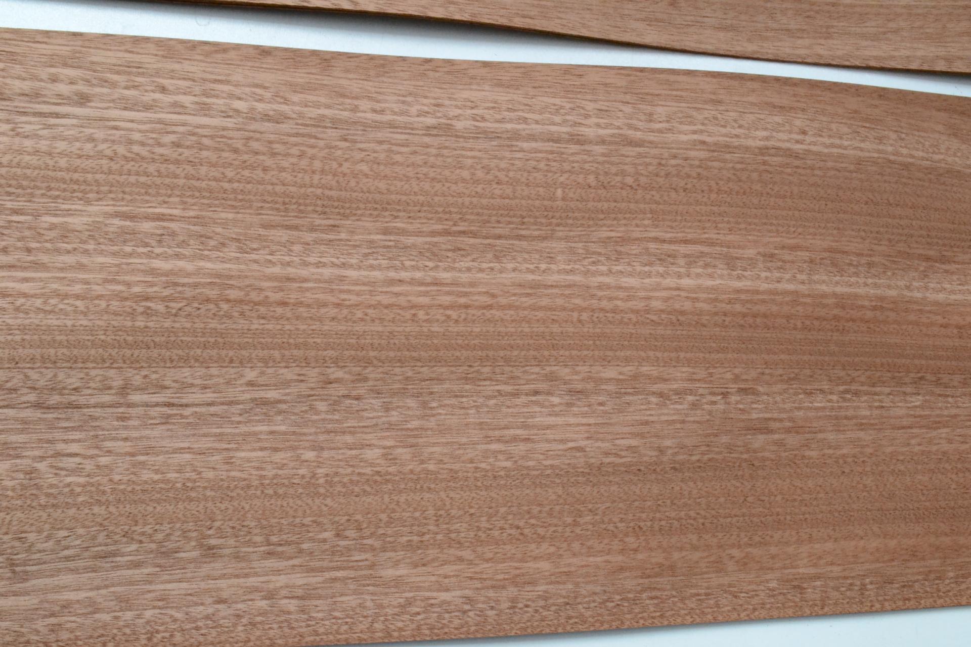 429 feuille de bois acajou 3