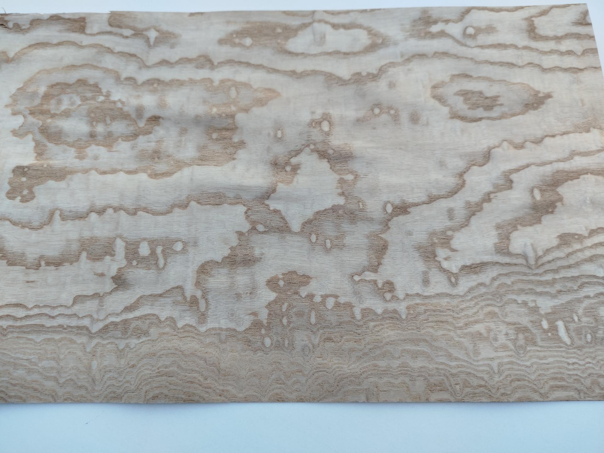 438 frene du japon tamo placage feuille de bois marqueterie 2